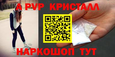 стафф Бердск