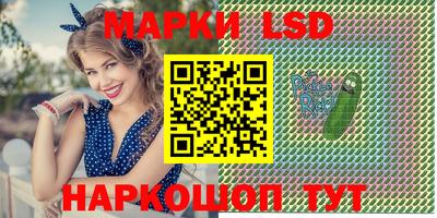стафф Бердск