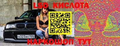 стафф Бердск