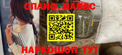 стафф Бердск