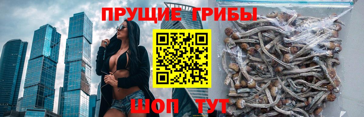 Галлюциногенные грибы GOLDEN TEACHER  Галлюциногенные грибы ЛСД  Вход с VPN  Барнаул 